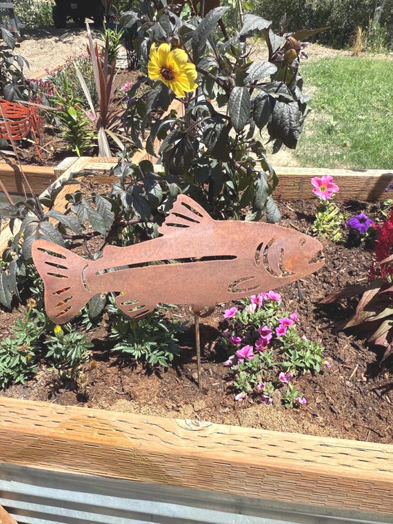 Rusty MetalTrout wall and garden art made out of steel with matte clear coat for interior and exterior display.
