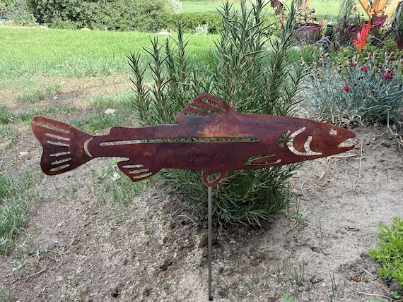 Rusty Metal lake Trout wall and garden art made out of steel with matte clear coat for interior and exterior display.