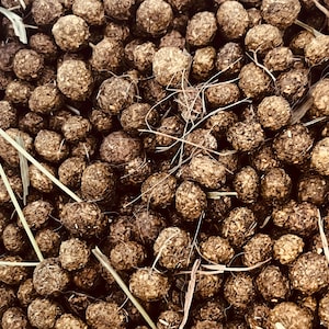 Rabbit Poop Organic Fertilizer Plant Food Gardening Bunny Berries Bunny Honey All Natural Dried Bag of Garden Manure 1lb 2lb 3lb or more