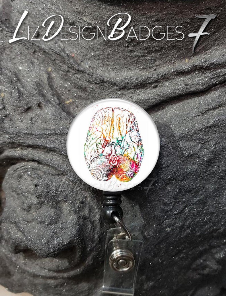 Watercolor Brain Badge Reel Human Brain Badge Holder Anatomy Etsy
