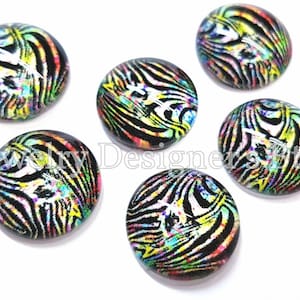 12mm Glass Photo Cabochons Rainbow Zebra Print Pattern