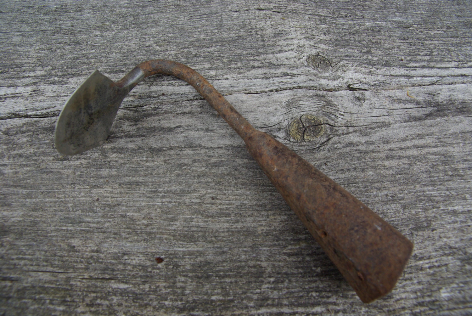 Vintage garden Hoe Hoe Head for Display Rusty Gardening Etsy