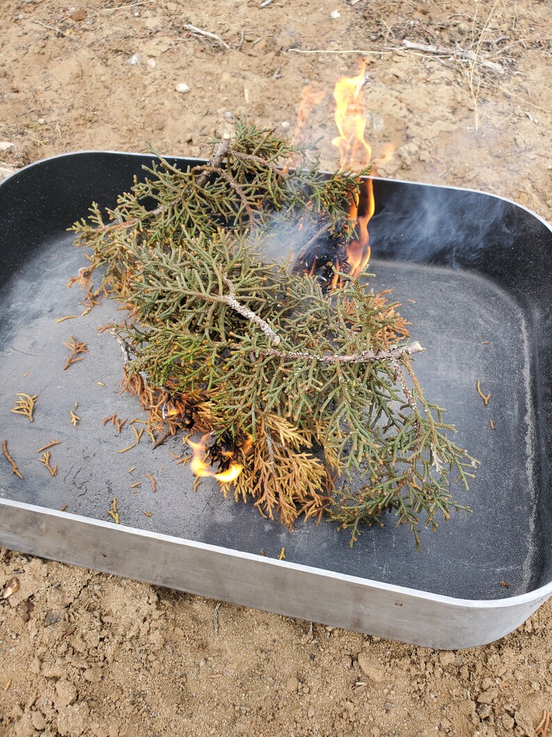 Juniper Ash Native New Mexico Juniper Berry Ash Juniperus Etsy