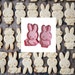 Set of 2 Miffy Cookie Cutters Plunger Biscuit Mold Fondant Cake Topper cookie mold kids birthday party