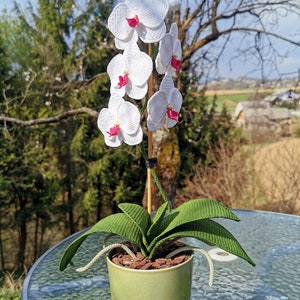Crochet pattern for a large orchid, crochet flowers, crochet tutorial