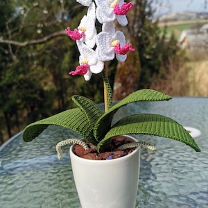 Crochet pattern for a miniature orchid, crochet flowers, crochet tutorial