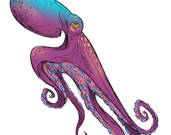 OCTOPUS Wall Art - Animal Art Print - David Colman Original Illustration