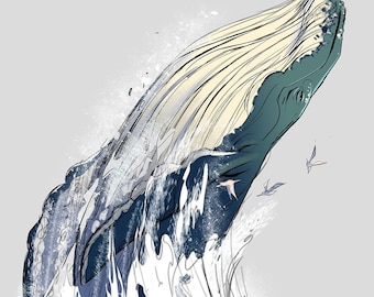 WHALE BREACH Wall Art - Animal Art Print - David Colman Original Illustration