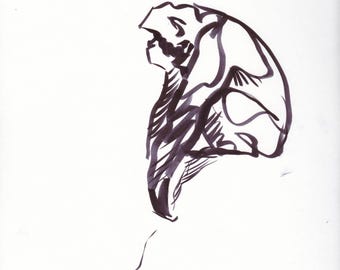CHIMPANZEE Wall Art - Original Artwork - David Colman Illustration
