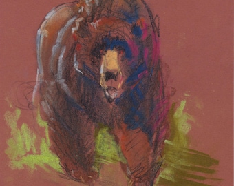 BEAR IN SHRUBS Pastel Wall Art - Original Artwork - David Colman Illustration