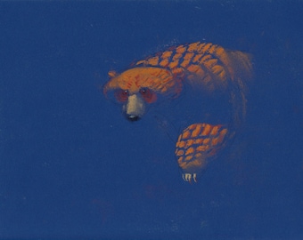 BEAR LOST & FOUND Pastel Wall Art - Original Artwork - David Colman Illustration