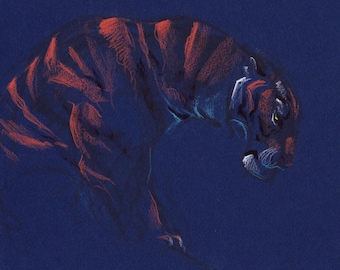 TIGER CROUCH Wall Art - Animal Art Print - David Colman Original Illustration