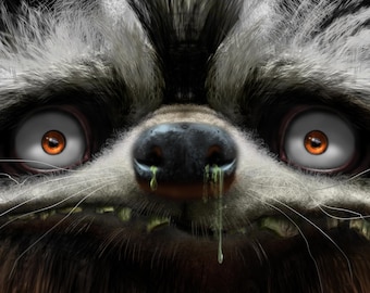 RACCOON Wall Art - Animal Art Print - David Colman Original Illustration