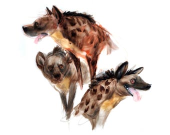 HYENAS Wall Art - Animal Art Print - David Colman Original Illustration