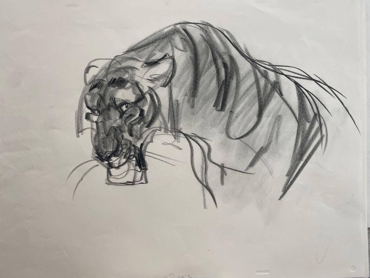 TIGER SHERE KHAN Wand Kunst - Original Kunstwerk - David Colman Illustration