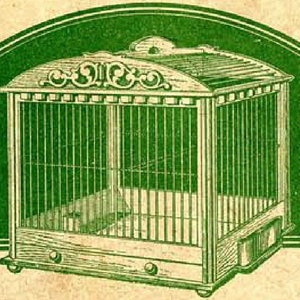 May include: A wooden birdcage with a decorative top and a green background. The cage has a removable bottom tray and a small door on the front.