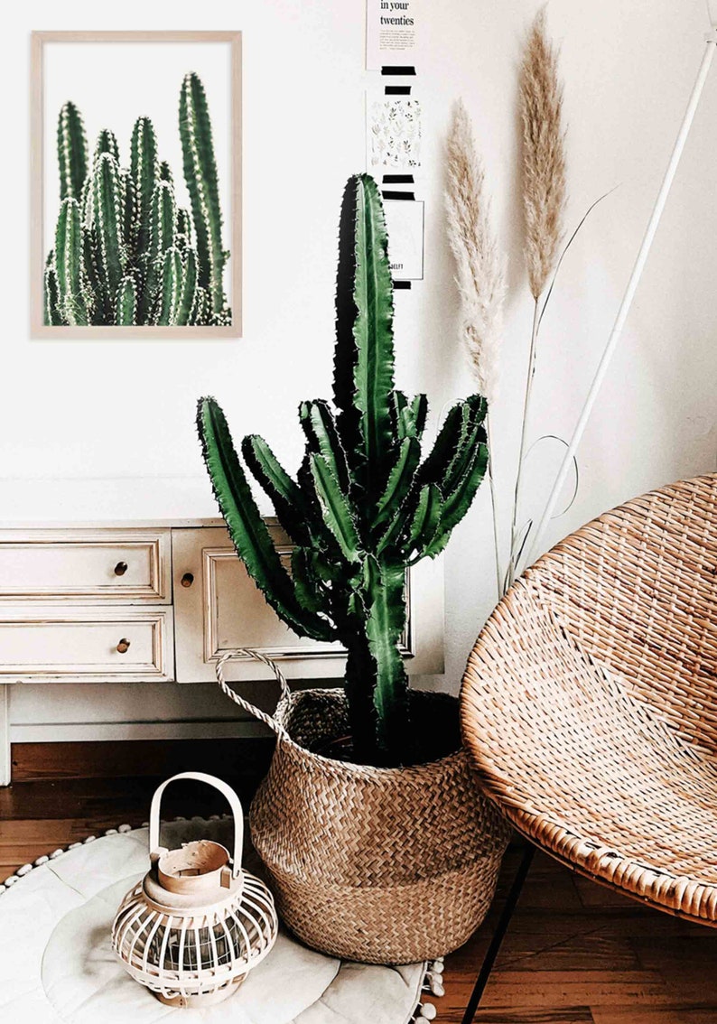 Cactus Print Boho Wall Decor Cactus Decor Cactus Decor | Etsy