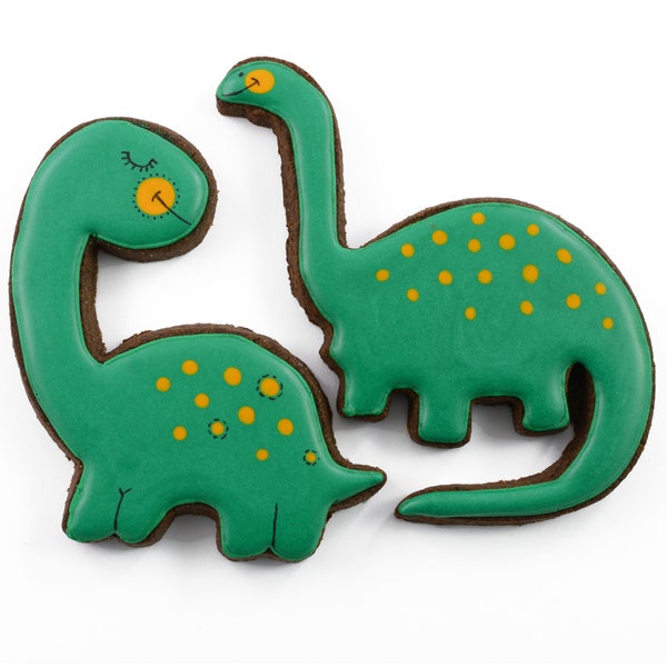 VEGAN Dino biscuit cadeau Mannelijke en vrouwelijke koekjes in geschenkdoos. Handgemaakte, milieuvriendelijke verpakking