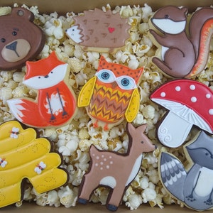 May include: A box filled with popcorn and decorated sugar cookies shaped like woodland animals, including a bear, fox, owl, deer, squirrel, mushroom, raccoon, and a beehive.