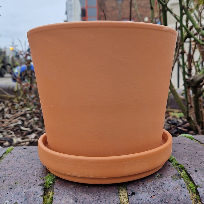 Birthday Flower Pot any number and message image 9