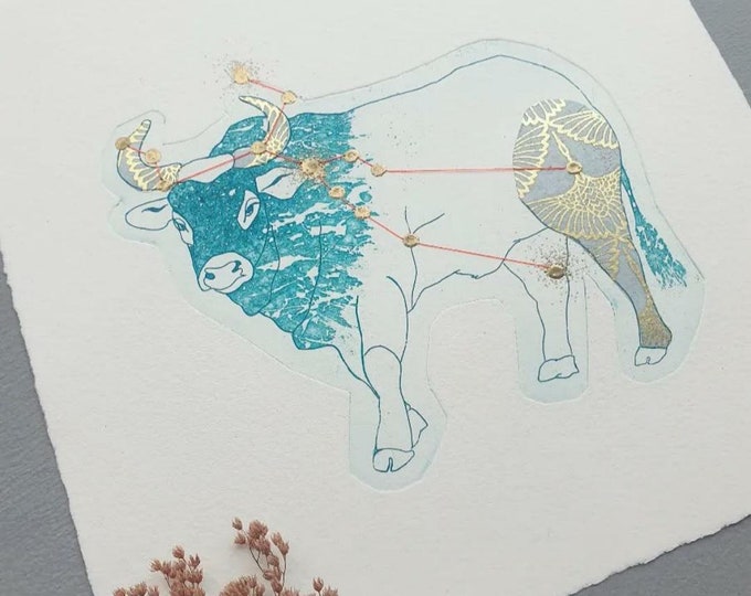 Constellation du Taureau - encadré - encadré