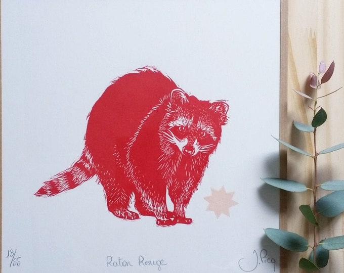 Raton Rouge - encadré