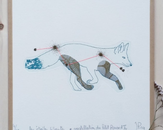 Constellation du Petit Renard II - encadré