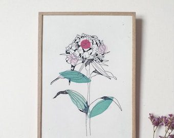 Flower 15- framed