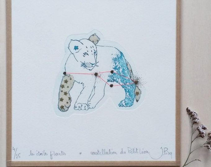Constellation du Petit Lion- encadré