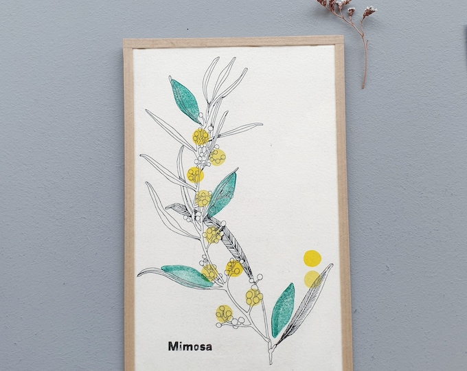 Mimosa- encadré