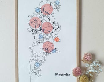 Magnolia - encadré