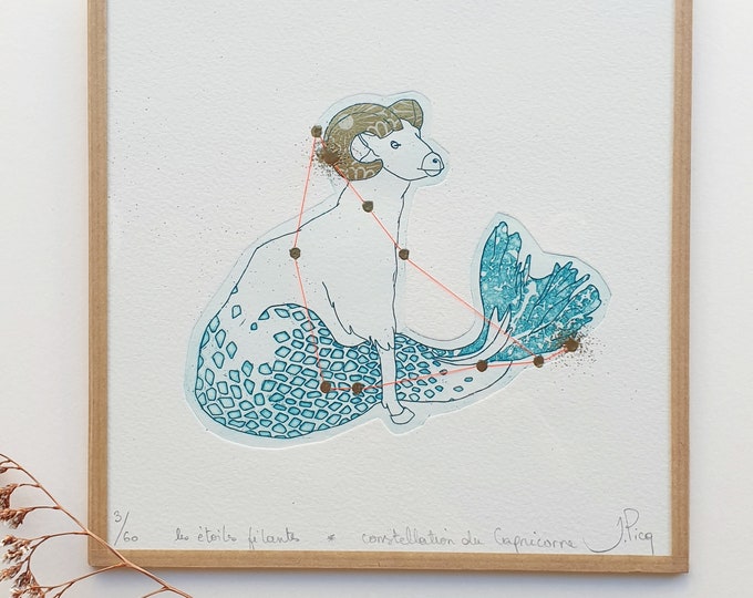Constellation du Capricorne- encadré