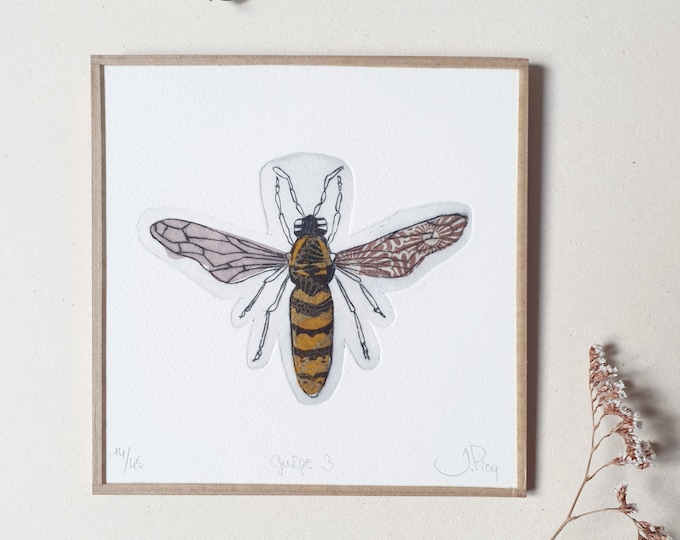 Wasp 3- boxed