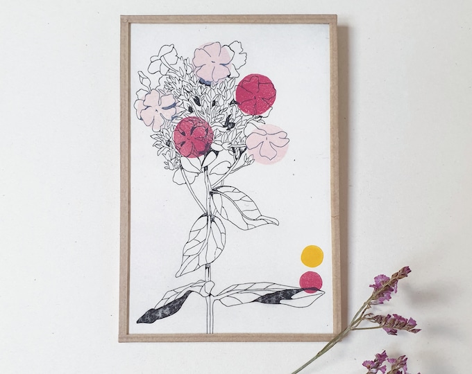 Fleur 11- encadré