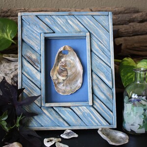 Shell Art - Handmade- Beach - Beach House - Beach Decor - Gift - Home Decor - Oyster Shell - Beach Art - Beach Theme - Nautical