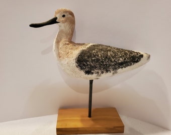 Avocet Shorebird Lokvogel