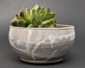 White Ceramic Planter, Small Pottery Planter, Succulent Planter, Small Flower Pot, Handmade Planter, Succulent Container, TrilliumFineArt