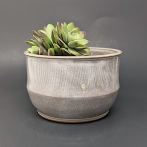 May include: A gray ceramic planter with a textured surface, featuring a green succulent plant inside.