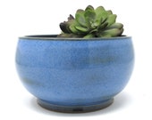 Succulent Planter, Succulent Bowl, Small Flower Pot, Handmade Succulent Planter, Handmade Flower Pot, Clay Flower Pot, Unique Planter