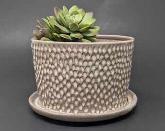 White Ceramic Planter, Small Pottery Planter, Succulent Planter, Small Flower Pot, Handmade Planter, Succulent Container, TrilliumFineArt