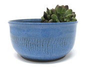 Succulent Planter, Succulent Bowl, Small Flower Pot, Handmade Succulent Planter, Handmade Flower Pot, Clay Flower Pot, Unique Planter