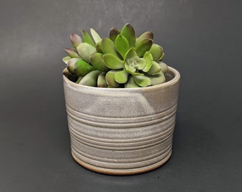 White Ceramic Planter, Small Pottery Planter, Succulent Planter, Small Flower Pot, Handmade Planter, Succulent Container, TrilliumFineArt