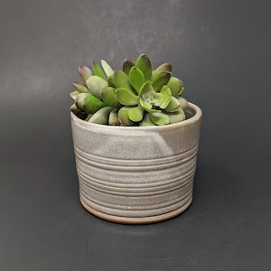 May include: A gray ceramic planter with a textured, striped design. The planter is filled with a green succulent plant.