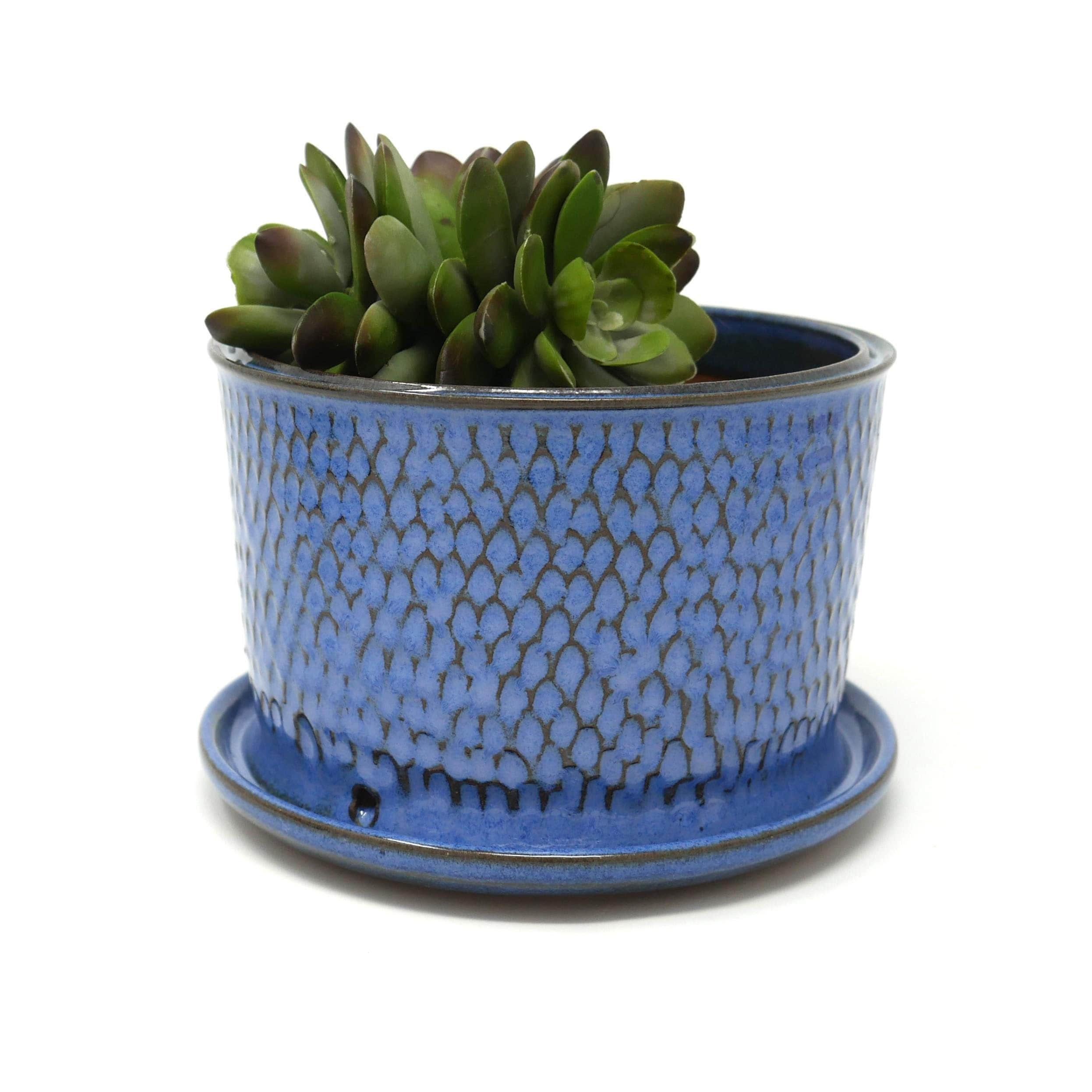 Blue Ceramic Succulent Planter, Pottery Flower Planter, Wheel Thrown ...