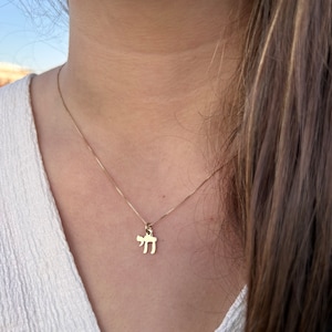 Hebrew Chai Pendant, 14K Solid Gold Chai Necklace, Jewish Jewelry, Hai Necklace, Hebrew Jewelry, Jewish Amulet, Hebrew Jewelry, HaAri