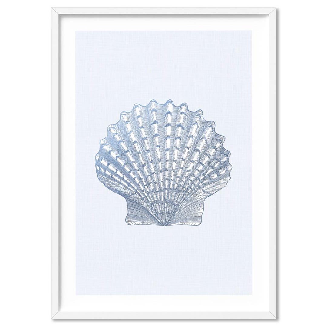 Scallop Shell Poster Modern Sea Shell Poster. Lion's Paw Scallop Print. Blue Tone Sea Shell ...