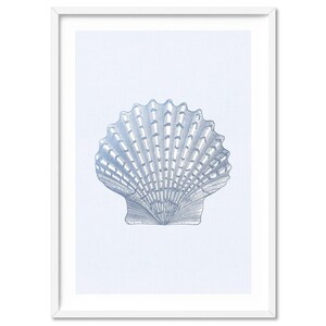 Modern Sea Shell Poster. Lion&#39;s Paw Scallop Print. Blue Tone Sea Shell Collection. Hamptons Wall Art. Printed Linen Texture | CSH-43