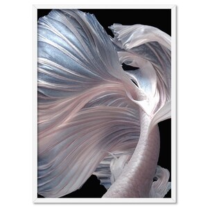 May include: A close-up of a pink and blue betta fish with flowing fins. The fish is swimming in a dark background.