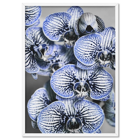 Blue Vein Orchids Art Print. Blue & White Textured Orchids