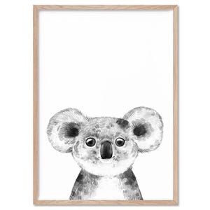 Koala Print Wall Art. Australian Native Animal. Sketch Style Nursery Prints. Nursery Wall Art or Kids Room Decor. Animal Prints | ANA-55 image 4